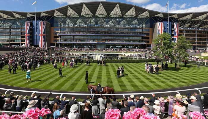 Sports event chauffeur travel